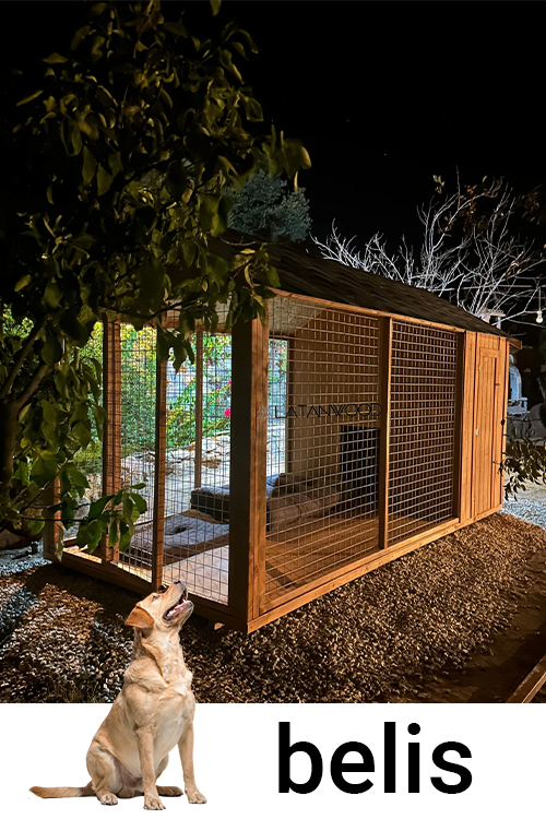 Kocaeli Köpek Kulubesi