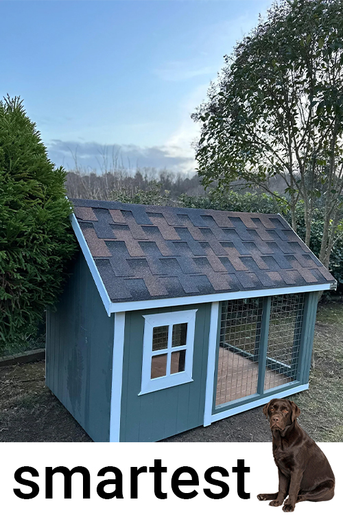 Ahşap Köpek Kulubesi