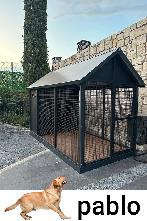 Aydın köpek kulübesi