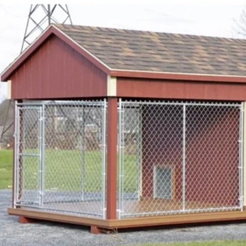 Aydın Didim Köpek Kulubesi