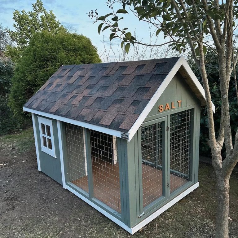 Smartest Köpek Kulübesi
